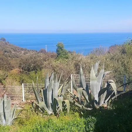 Terrasse Climatise Vue Avec Parking