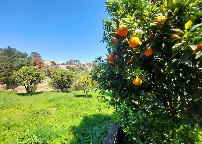Terrasse Climatise Vue Avec Parking * Cardo