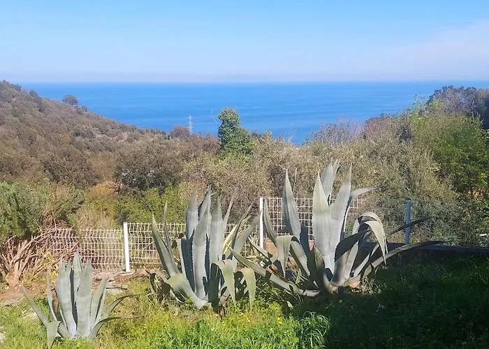Terrasse Climatise Vue Avec Parking