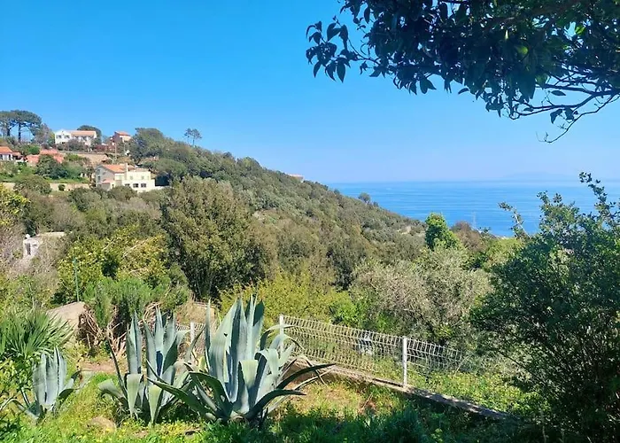 Terrasse Climatise Vue Avec Parking Cardo